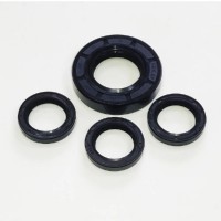 tu88.0194 Масляные уплотнения (аналог KIT 1855 без o-ring) для Annovi Reverberi RK и прочих