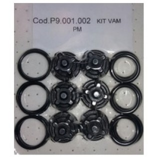 P9.001.002 Комплект клапанов насоса PM (6 шт.)