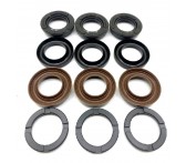 BF-7369 Комплект водных уплотнений 5х3 шт KIT 69 для Interpump 47 серии, R. Press (34006901)