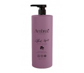 dbk-1765 Увлажняющий парфюмированный spa гель для душа серии Ambree professional. Herbal spirit. 1л